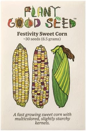 Festivity Sweet Corn Seeds - Pack of 30, Certified Organic, Non-GMO, Open Pollinated, Untreated Vegetable Seeds for Planting – from USA