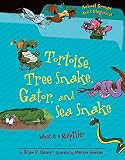 Tortoise, Tree Snake, Gator, and Sea Snake: What Is a Reptile? (Animal Groups Are CATegorical ™)
