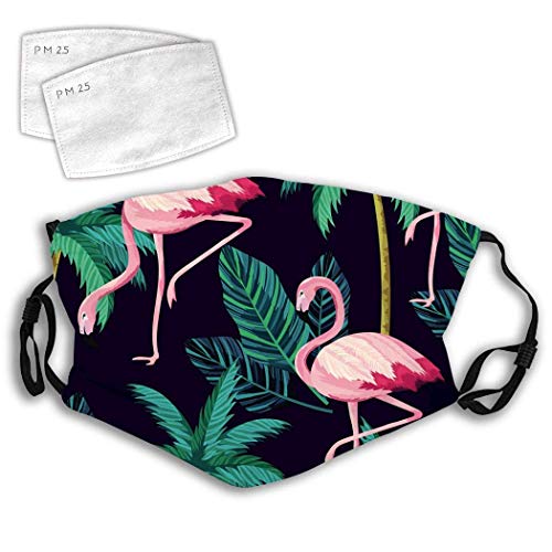 BERG Trampoline Grand Champion Regular 520 Grey + Filet de sécurité DLX XL