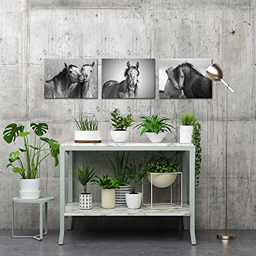Artkissmore 3 Panel Horses Picture Animals Wall Art Romantic Horse Photo Contemporary Paintings Artwork Modern Home Office Bedroom Decoration Giclee Artwork Gallery Wrapped 16" W X 12" H X 3Pcs #TOP3