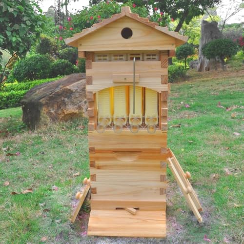 Bienenstock-Set – Strömungsstock mit Beobachtungsfenster & Honigauslauf, Bienenbox aus Holz mit integriertem Zimmermann-Bienenhaus