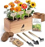 AVERGO Sunflower, Marigold & Zinnia Flower Seeds Growing Kit &ndash; Ideal Gift for Mother's Day |...