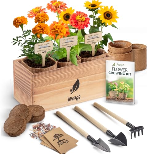 AVERGO Sunflower, Marigold & Zinnia Flower Seeds Growing Kit | Complete Indoor & Outdoor Kit with Seeds for Planting, Planters, Soil, Tools, Instructions