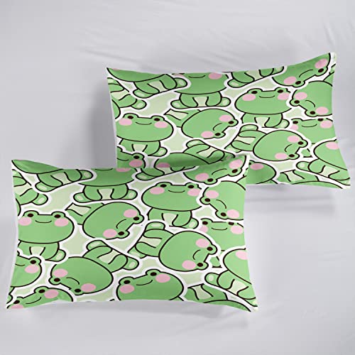 Ailonen Frog Duvet Cover Set,Cartoon Frog Bedding Set Queen Size,Comforter Cover Set For Teens Boys Kids Girls,1 Quilt Cover 2 Pillowcases 3 Piece #TOP1
