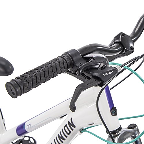 ROYCE UNION RTT 24\" Womens 21-Speed Mountain Bike, 15 Inch Aluminum Frame, Trigger Shift, White (74418)