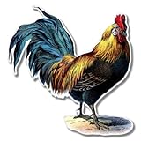 Hohe Qualität, starker Vinyl-Aufkleber für den Außenbereich.