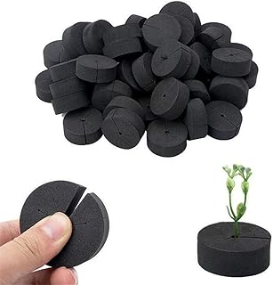 AVE Hydroponik Schwämme Garden Clone Collars Neopren-Einsätze Schwamm Block passend Grow Hydroponic Plant Disk Aeroponic Hydroponics-Systeme Und Klonmaschinen (30PCS)
