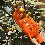 Amplia aplicación: esta herramienta recolectora de frutas soporta manzana, ciruela, aguacate, naranja, nectarina, melocotón, mango, granada, pera, limón, lima, kiwi, toronja, caqui y otras cosechas de frutas.