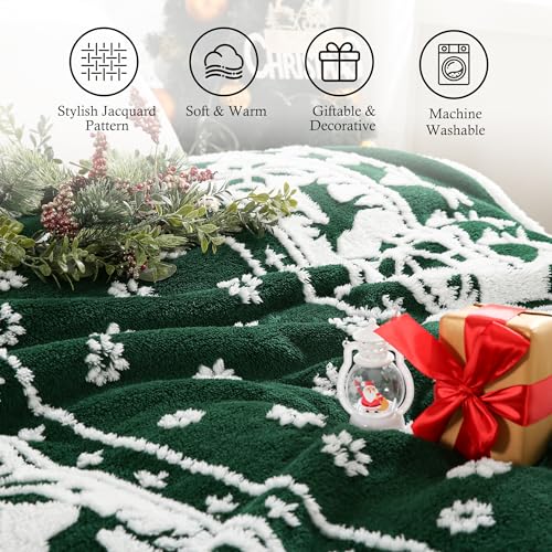 Photo complémentaire