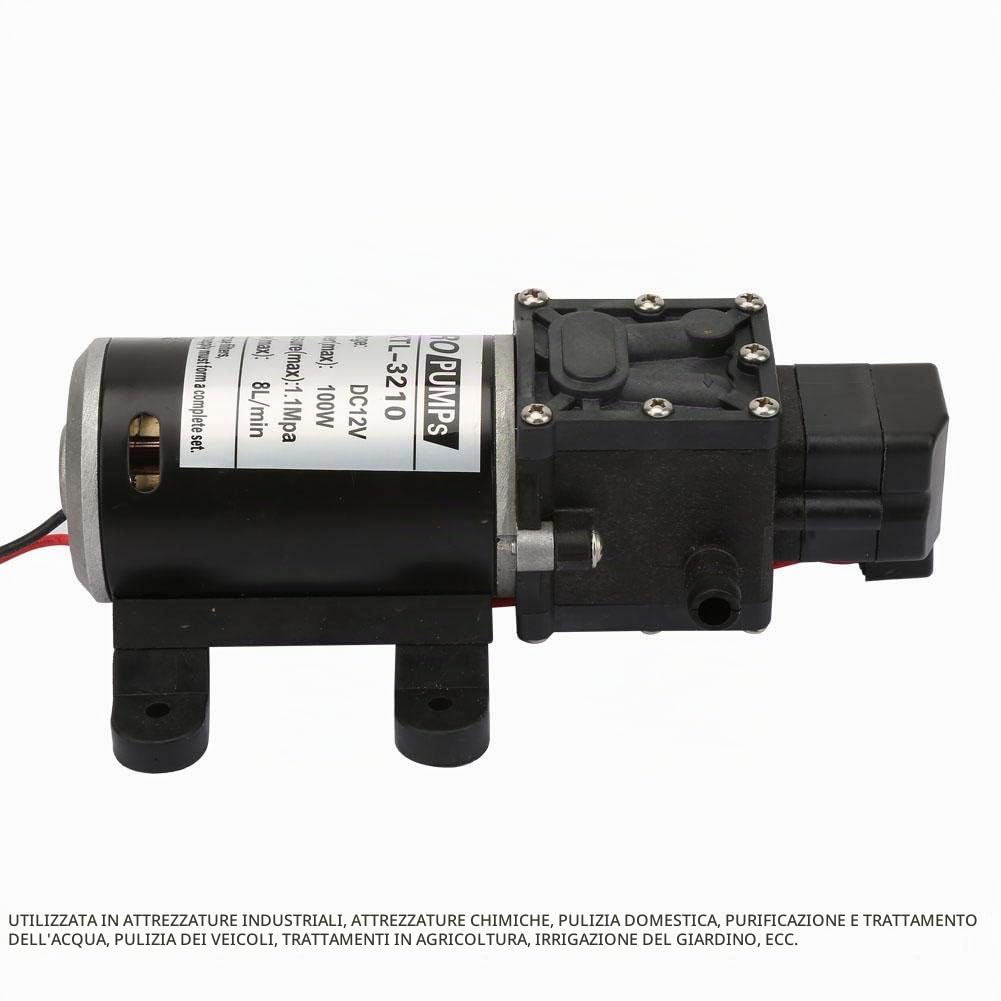 Pompa acqua ad alta pressione del diaframma elettrico autoadescante di 12V 100W con l'interruttore di pressione 3210YA-12-100 l'ascensore di 1.5M 8L / M 70M per attrezzatura industriale