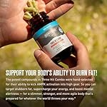 ROUNDHOUSE PROVISION Three Hit Combo by Chuck Norris – Fat Burner, Energy Booster & Wellness Support – 30-Day Supply (60 Capsules) - Image 5