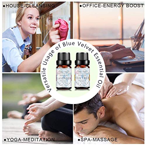 Blue Velvet Essential Oils Organic Lavender Spa Perfume Diffusion Home Care Massage Yoga Aromatherapy Oils 10ML (Eucalyptus) - Image 3