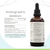 HerbEra Andrographis B120 Alcohol-Free Herbal Extract Tincture, Super-Concentrated Made with Fah talai jone, Chuan Xin Lian, Andrographis paniculata 4 fl oz