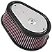 Produktbild K & N Filter e-3986 Custom Air Filter