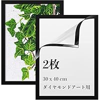 アートフォト（フレーム付き） Amazon.co.jp: LEADINTOP ダイヤモンドアート フォトフレーム 2枚