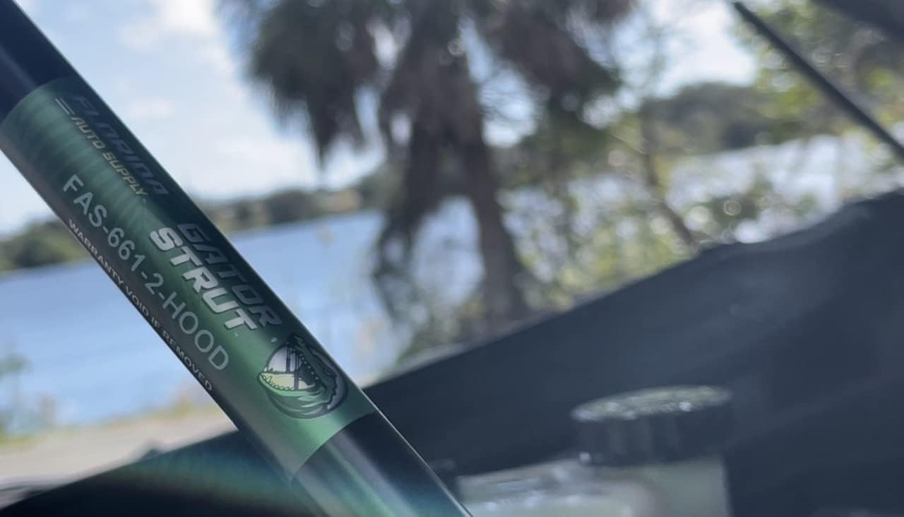 2 Hood + 2 Rear Hatch/Window Glass Lift Supports, FAS-598-L-R-2, + FAS-220-2 Compatible with: 1997-2004 Chevy C5 Corvette Hatchbacks - Gas Shock - Gator Strut by Florida Aurto Supply