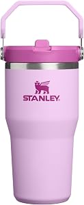 STANLEY IceFlow 2.0 Flip Straw Tumbler with Handle 20 oz | Twist On Lid and Flip Up Straw | Leakproof Water Bottle | Insulated Stainless Steel | BPA-Free | Soft Orchid