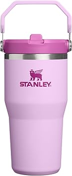 STANLEY IceFlow 2.0 Flip Straw Tumbler with Handle 20 oz | Twist On Lid and Flip Up Straw | Leakproof Water Bottle | Insulated Stainless Steel | BPA-Free | Soft Orchid