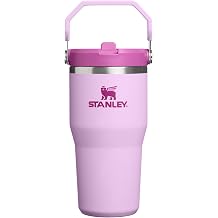 STANLEY Unisex's The IceFlow Flip Straw Jug