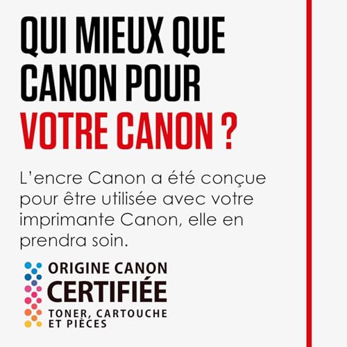 Canon PGI-550 XL PGBK Cartouche Certifié Canon Capacité XL Noir Emballage Plastique Obsolète