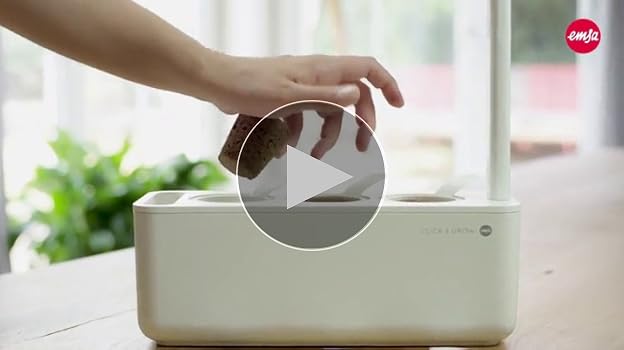  Wild Strawberry フルリム3枚セット Amazon.com : Click and Grow Smart Garden Wild Strawberry