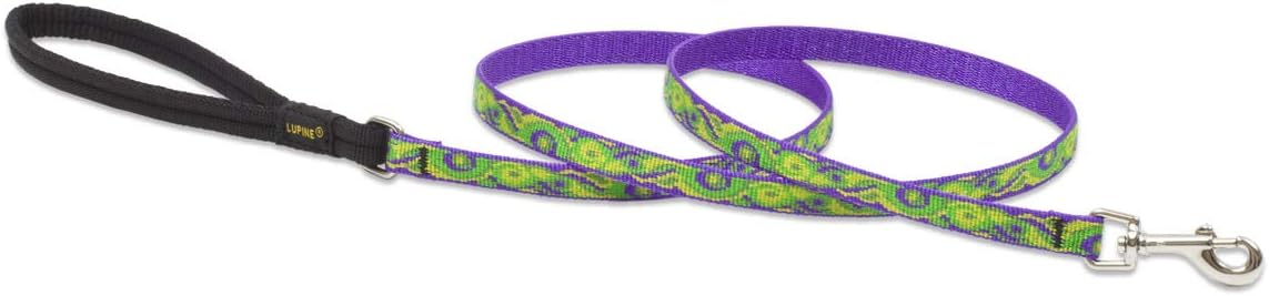 LupinePet Originals 1/2" Big Easy 6-Foot Padded Handle Leash for Small Pets
