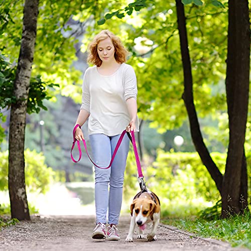 Fida 5 FT Heavy Duty Dog Leash with 2 Comfortable Padded Handles, Traffic Handle & Advanced Easy Snap Hook, Reflective… - Image 8