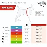 Curli Apple Hundegeschirr aus Leder, Braun/Größe S