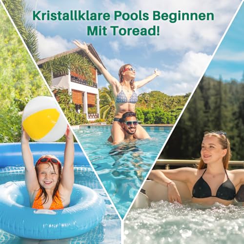 TOREAD Filter VI für Whirlpools (6er Set) | Kompatibel mit Bestway Lay-Z-Spa Miami, Vegas & Coleman SaluSpa | Ersatzkartusche 58323 / 90352E | Spa Zubehör für klares Wasser