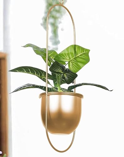 2 Pack Shineloha Hanging Planters For Indoor & Outdoor Plant With 6" Pot (Detachable) + Hook | Hanging Plant Holder, Plant Hanger, Minimalist Planter | Modern Home Decor, No Plant Incld (Gold) #TOP4