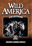 Amazing and Unique Animals Collection