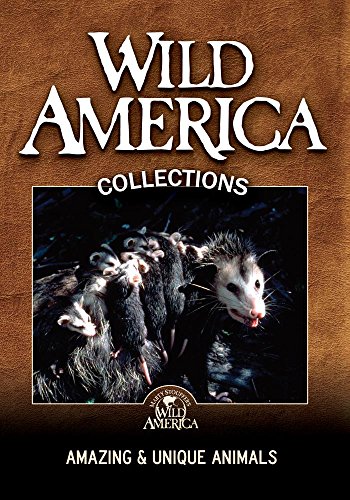 Amazing and Unique Animals Collection Amazing and Unique Animals Collection