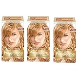 L'Oréal Paris Superior Preference Fade-Defying + Shine Permanent Hair Color, 9GR Light Golden Red, 3 COUNT Hair Dye