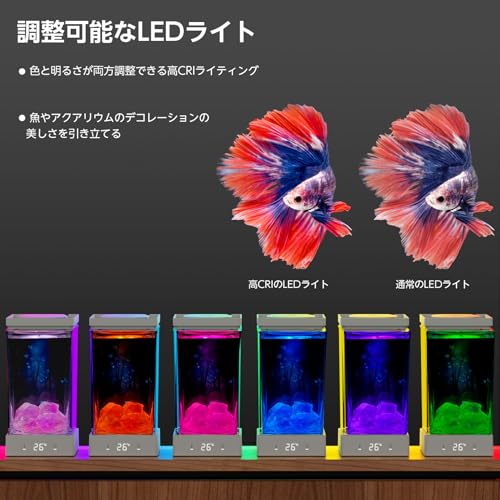 OIKSPY 小型ベタ水槽 1.4Lコンパクト水槽キット の商品画像 4