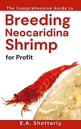 The Comprehensive Guide to Breeding Neocaridina Shrimp for Profit