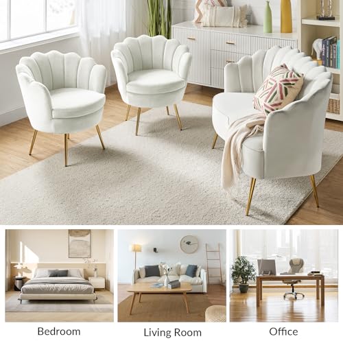 Image of HULALA HOME 3 Piece Velvet Living Room Furniture Set, Including Loveseat & 2 Sofa Chairs, Modern Comfy Upholstered 2-Seater Sofa & Accent Chair Set for Bedroom, Flower Shaped Back & Gold Legs, Ivory