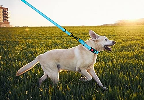 Martingale Dog Collar And Leash Set Martingale Collars For Dogs Reflective Martingale Collar For Small Medium Large Dogs(Sky Blue&S) #TOP6
