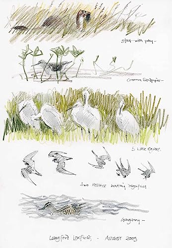 Taking Flight: The Birds of Langford Lowfields [Unknown] 0957181183 Book Cover