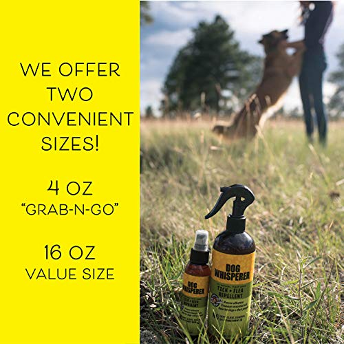 Dog Whisperer Tick + Flea Repellent, All-Natural, Extra Strength, Effective on Dogs and Their People (4 Ounce Spray) - Image 6