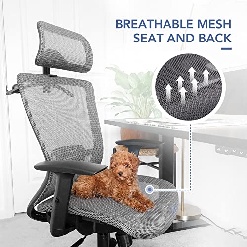 Flexispot Oc3B Ergonomic Executive Mesh Office Chair Swivel Height Adjustable Seat Headrest Armrest Lumbar Support Caster Wheels Task Chair Gray Mesh Seat Computer Office Desk Chair #TOP3