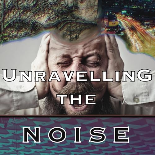 Unravelling the Noise cover art