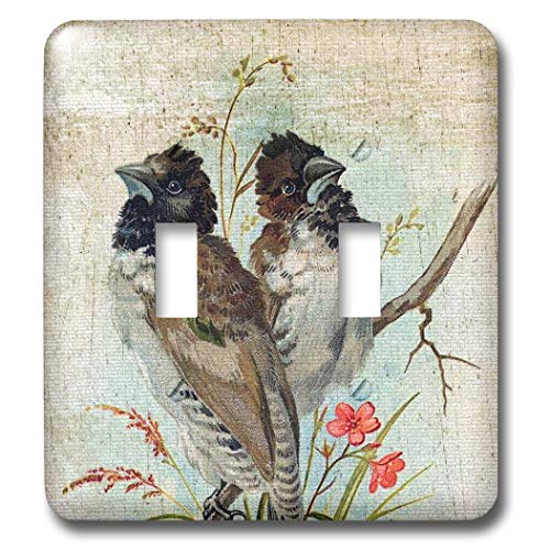 Pájaros con textura de Angelandspot 3dRose lsp_10877_2 interruptor 2