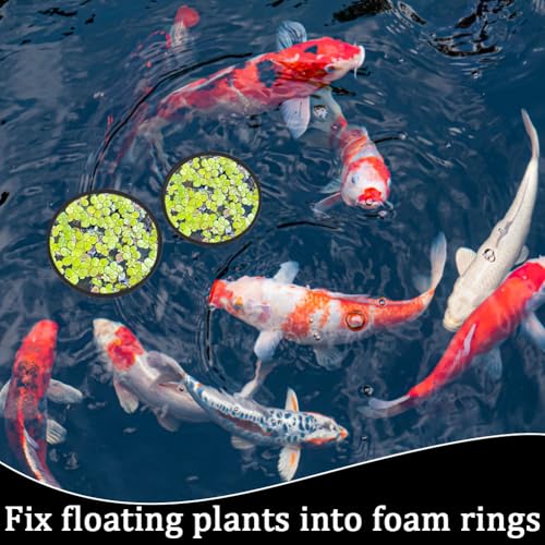 CREATCABIN 10Pcs Fish Feeding Rings Set Aquarium Floating Plant Rings 5 Sizes Foam Floating Plant Corral Round Fish Feeder Rings Fish Tank Plant Ring for Bettas Fish Aquarium Accessories Black - Image 4