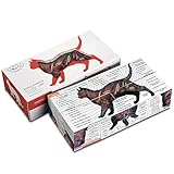 Feline Anatomy Study Cube – 3D Cat Learning Model with Muscles, Skeleton & Organs | Foldable Cat Anatomy...