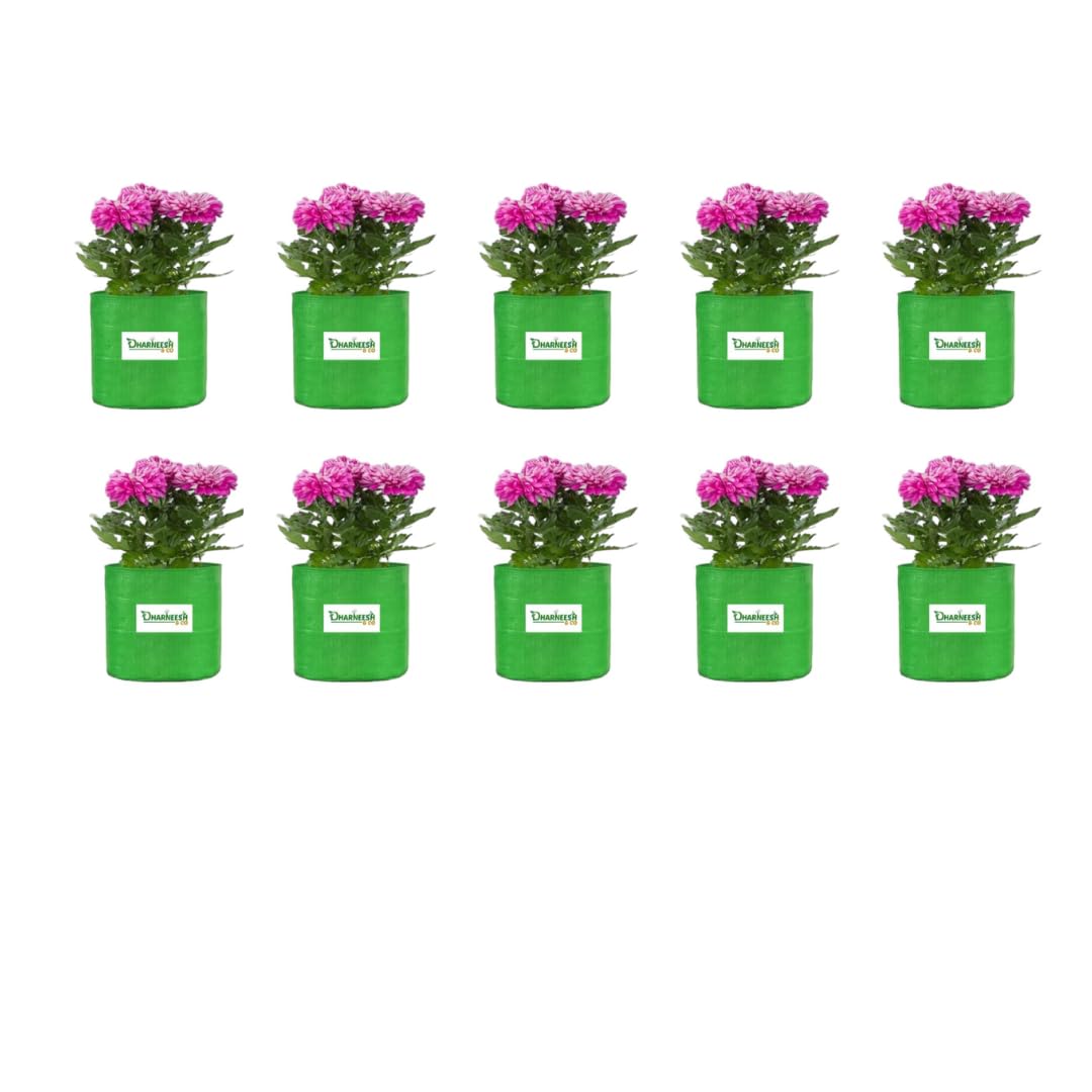 See full amazon price history chart for Dharneesh Terrace Gardening Leafy Vegetable Green Grow Bag (9 x 12, CIRCULAR) pack of 10 Dharneesh Terrace Gardening Leafy Vegetable Green Grow Bag (9 x 12, CIRCULAR) pack of 10 (B09MW9YLYQ) Amazon Price History, Amazon Price Tracker