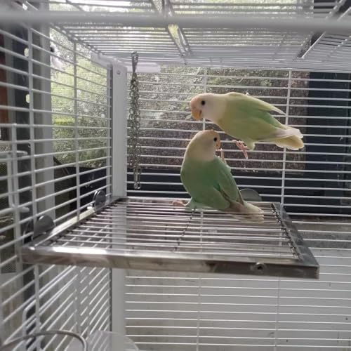 Image of Stainless Steel Bird Platform & Climbing Ladder Set (1 Platform + 1 Ladder) - Durable, Washable Cage Perch for Parakeets, Cockatiels, Conures (M)