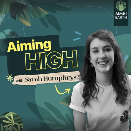 Aiming High cover art