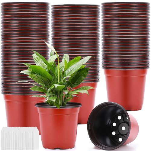 Purpledi 100 Pcs 10CM Plastique Plante Pots, Semis en Plastique Pots de Fleurs avec Étiquettes, Gobelet de Semis, Godets de Repiquage, Pot Rempotage, Pot de...