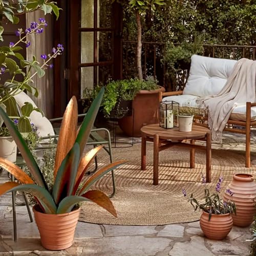 Agave en Métal DIY Style Rustique Sculpture Unique pour Terrasse - 4