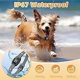 Premium Mini Petbarksafe Upgraded Hundehalsband für Collarantibarking Große und Kleine Hunde Aller Größen (mini)